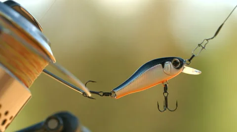 Angling bait Stock Footage 51030547