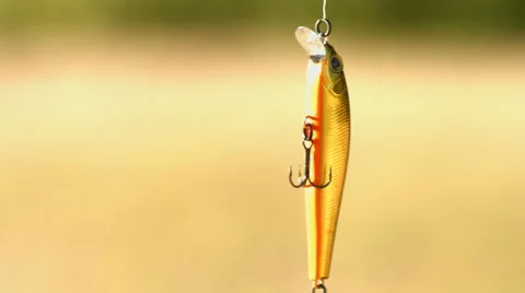 Angling bait Stock Footage 51030593