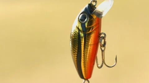 Angling bait Video stock 51030803