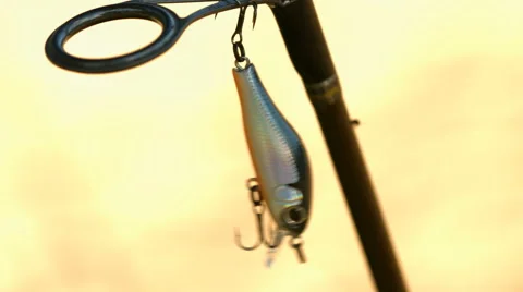 Angling bait Stock Footage 51030856