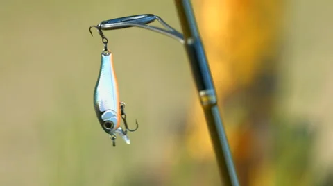 Angling bait Stock Footage 51030983