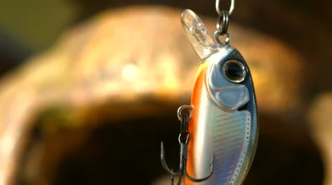 Angling bait Stock Footage 51031008