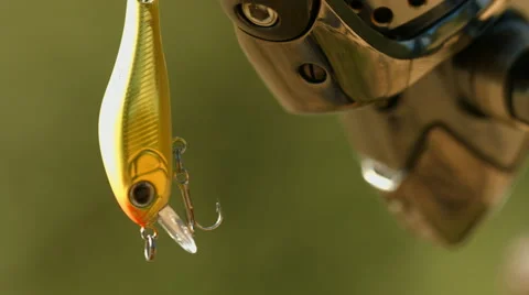 Angling bait Stock Footage 51031865
