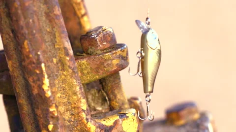 Angling bait 스톡 동영상 51037158