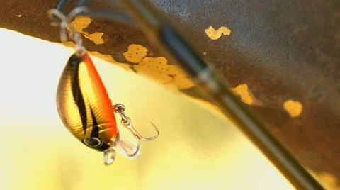Angling bait Video stock 51037255