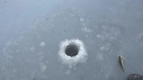 Angling in a hole in the ice and catching a jumping perch Video stock 167617350