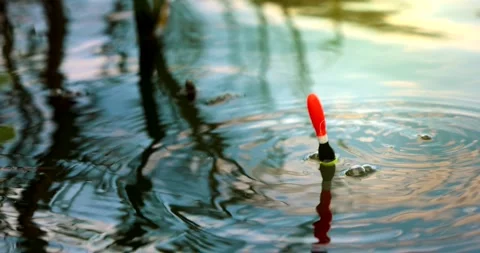 Angling - throwing the fishing float in the pond water. catch the fish with bobb Stock Footage 158289236