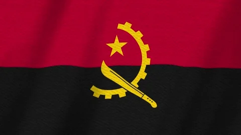 Angola flag background with seamless loop Stock Footage 310637118
