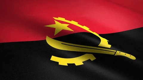 Angola seamless loop video. Seamless loop with highly detailed fabric texture Stock Footage 118679781