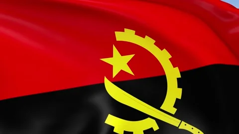 Angola Waving Flag Background Loop Stock Footage 317844237