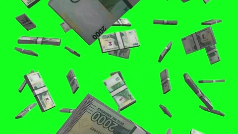Angolan Kwanza Falling Animation on Green Screen Video stock 303382833