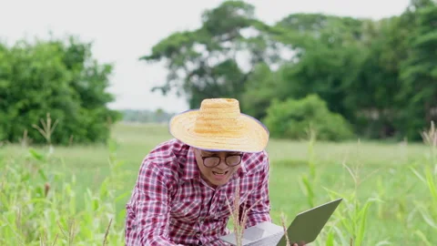 Angry Asian farmer standing, checking plants and taking video call on laptop  Stock Footage 170645632