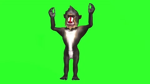 "Angry Baboon Mimicking Human Gestures - 4K Green Screen Comedic Footage" Stock Footage 282538942