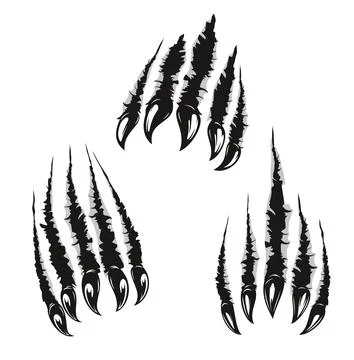Angry bear claw marks and scratches, animal attack Stock Illustration
