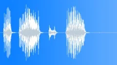 Angry bird bad answerSound Effect