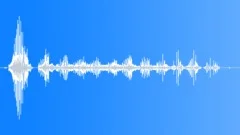 Angry bird quarrelingSound Effect