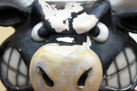 Angry bull Stock Photos