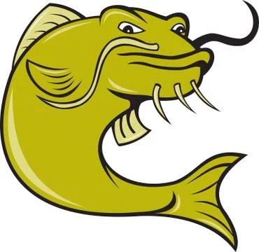 Angry cartoon catfish fish Stock Illustration