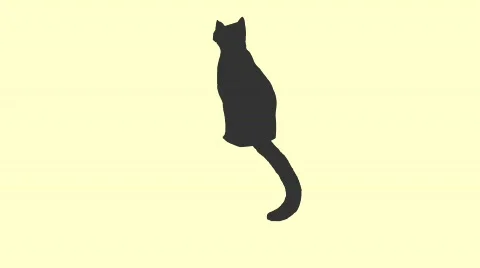 Angry Cat 1920x1080 Stock Footage 561346