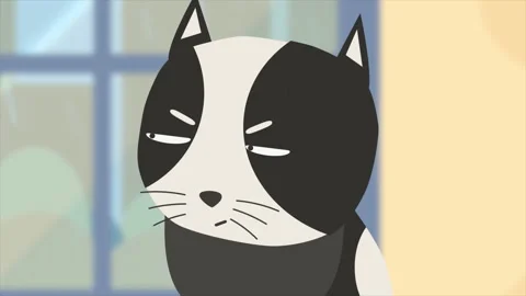 Angry Cat Trying to Chase the Fly Stock Footage 281293510