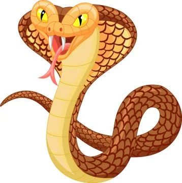 Angry cobra cartoon 스톡 일러스트