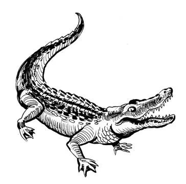 Angry crocodile Illustrazione stock