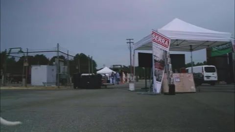 Angry Dalmatian Stock Footage 201624789