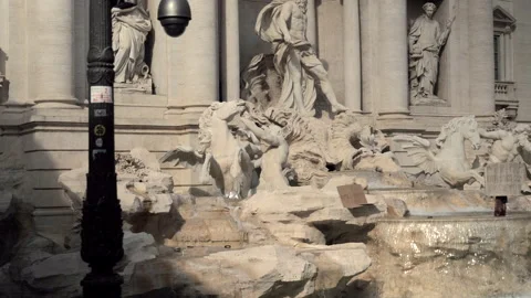 Angry demonstrator with written poster in hands standing inside the Trevi Founta Stock Footage 142819261