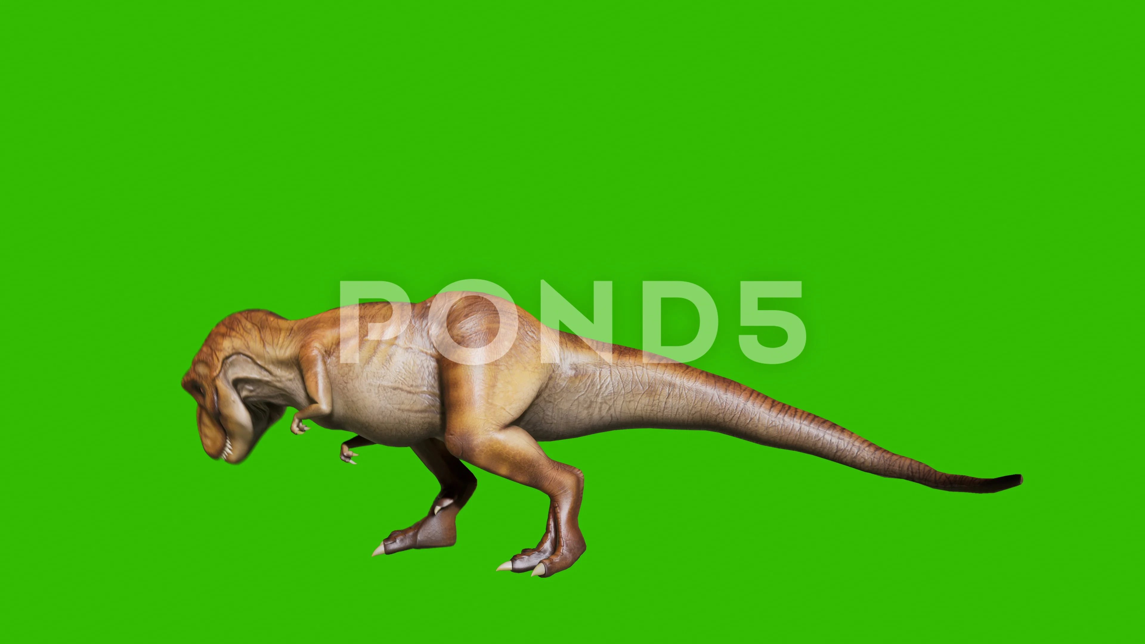 Angry T-Rex dinosaur runs in a looping s, Stock Video