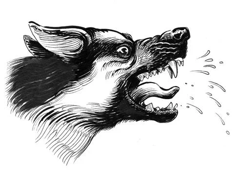 Angry dog Stock Illustration