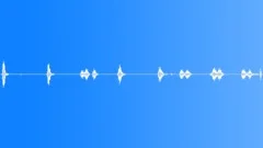 Angry Dogs sound effect 04Sound Effect
