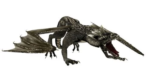 Angry Dragon Stock Photos