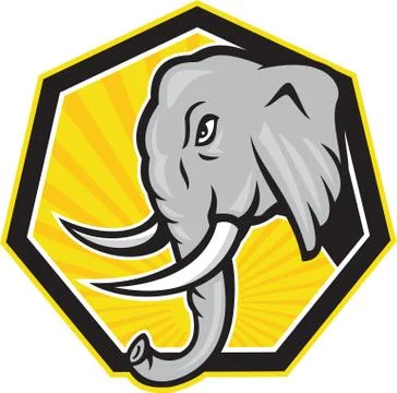 Angry elephant head side cartoon Stock Illustration