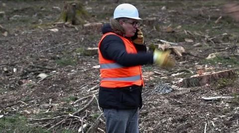 Angry Forest inspector with smartphone at clearcutting forest Stock Footage 60575983
