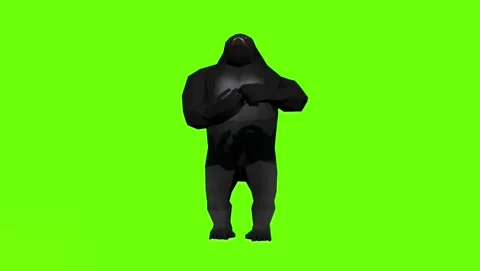 Angry Gorilla - Resolution 1080P - 60 fps Stock-Footage 241136840