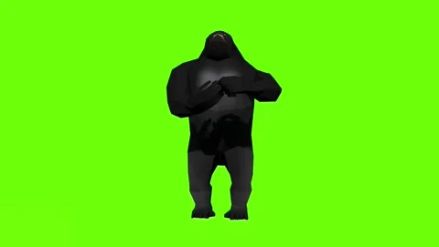 Angry Gorilla - Resolution 4K - 60 fps Stock-Footage 241136868