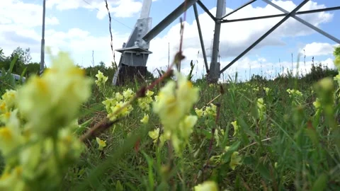 Angry grass against the background of the high-voltage transmission line Video stock 137263483