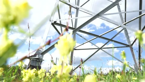 Angry grass against the background of the high-voltage transmission line Video stock 137263551