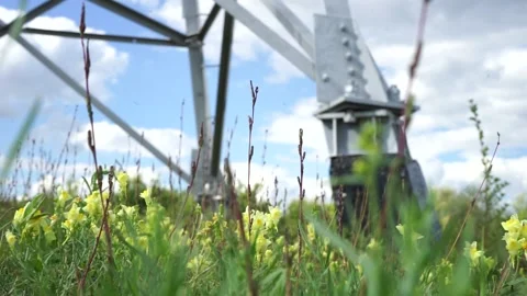 Angry grass against the background of the high-voltage transmission line Stock Footage 137263597