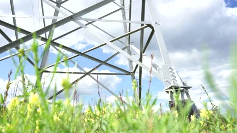 Angry grass against the background of the high-voltage transmission line Video stock 137263665