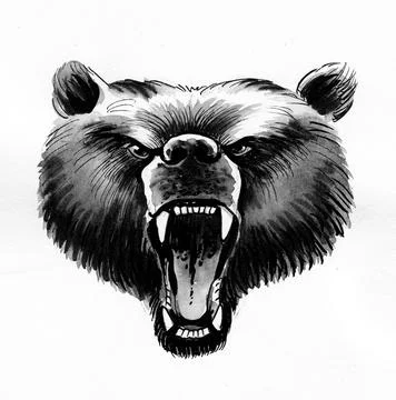 Angry grizzly bear Stock-Illustration