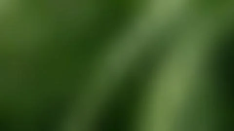 Angry, light, dark blurred background 스톡 일러스트