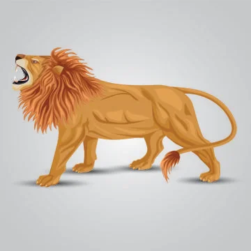 Angry lion side view isolated white background. vector illustration. Stock Illustration