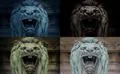 Angry Lion statue head quad wallpaper Photo
