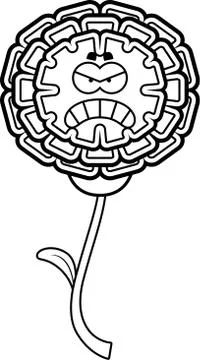 Angry Marigold Stock Illustration