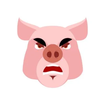 Angry pig. Evil boar. grumpy hog. Aggressive piggy Stock Illustration