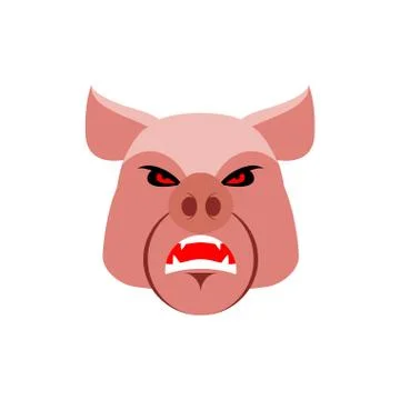 Angry pig. Evil boar. grumpy hog. Aggressive piggy Stock Illustration