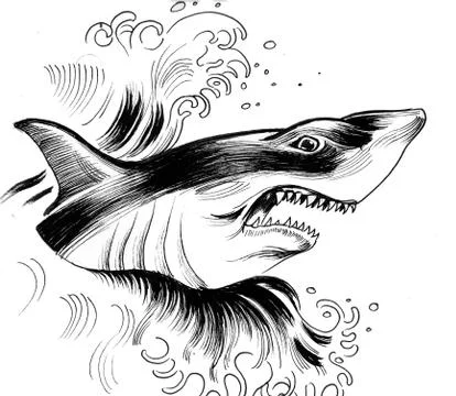 Angry shark Illustrazione stock