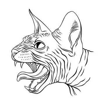 Angry Sphinx cat portrait Ilustración de archivo