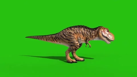 Angry T-Rex Idle Green Screen Side Loop 3D Rendering Animation Dinosaurs Stock Footage 136092575